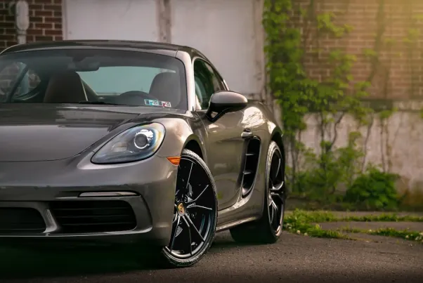 Kaszinó Spin Pug Android/iOS Alkalmazás